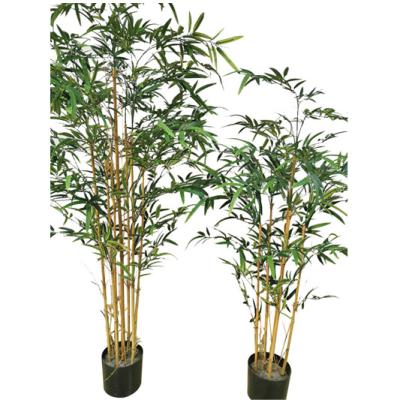 China Indoor And Outdoor Playground Artificial Bamboo Tree Eco - Friendly Artificial Tree Plant for sale