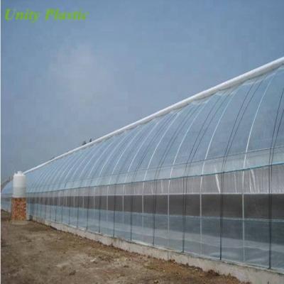 China For Greenhouse or Garden or Agricultural Greenhouse UV Treated Anti Insect Net with Cheap Price in China for sale