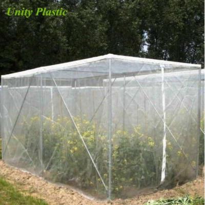 China For greenhouse or garden or 6x6 mesh agriculture agriculture HDPE virgin monofilament with anti insect UV stabilized net price in china for sale