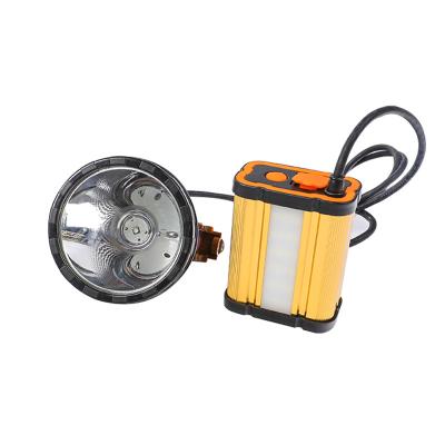 China Aluminum Alloy+ABS Factory 22 Hours 10W LED Chasing Lamp with White Side Light and Yellow or White Front Light for Rabbit Catching etc. pheasant for sale