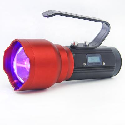 China LANDSCAPE Rechargeable LED Constant Current Bright 4 Color Modes Zoomable UV Floodlights Torch for Scorpion Fishing Catching Camping for sale