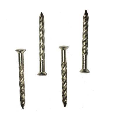 China Stainless steel oval twist nail / Oval head nail / Stainless steel nail for sale