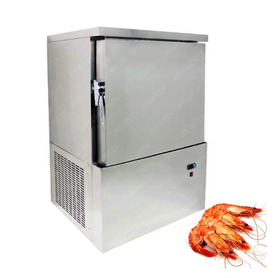 China NEWEEK Hotels Automatic Ice Cream Meat Refrigerators and Freezers Refrigerator Refrigeration Equipment for sale