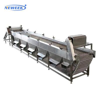 China food & Beverage Factory NEWEEK China 2 Tons/Hour Complete Fruit Sweet Potato Sorting Onion Sorting Fruit Grading Machine for sale