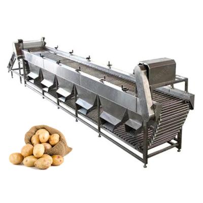 China food & Beverage Factory NEWEEK Onion Dragon Fruit Potato Sorter Agricultural Fruit Grading Machine for sale