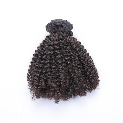 China Afro Kinky Curly Hair Extension 4C Virgin Mongolian Curly Hair Extension for sale