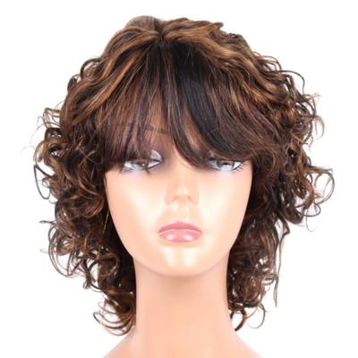 China Short Curly Highlight Color Remy Brazilian Human Hair Wigs Curly With Bangs for sale