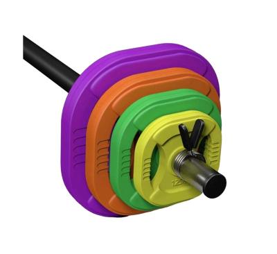 China Universal Weightlifting Plate Two Holes Widely Used Colored Rubber Bumper Plate Top Quality for sale