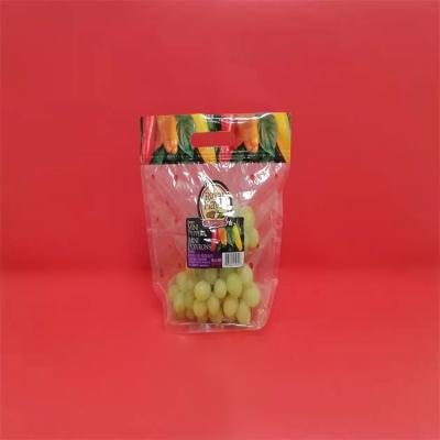 China Disposable transparent plastic bag stand up zipper packaging bags opp laminated cpp fruit plastic bag with punch hole for sale