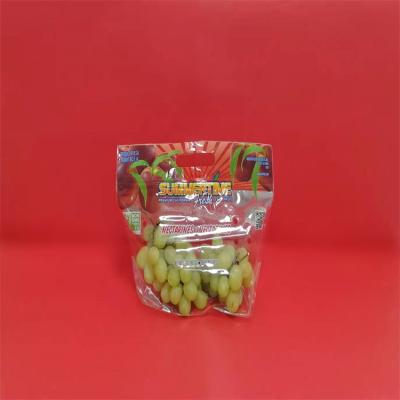 China Disposable transparent plastic bag POS zipper packaging bags opp laminated cpp plastic fruit bag with punch hole for sale