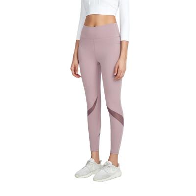 China Factory Waist Breathable Solid Breathable Outlet 74%Chinlon 26%Spandex Women's High Yoga Pants for sale