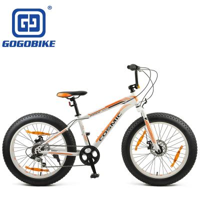 China High performance 7 speed 24x4.0 steel fat tire cutomized bike for sale