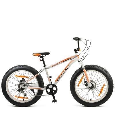 China 7 Steel Customized 24x4.0 Speed ​​Steel Fat Bike for sale