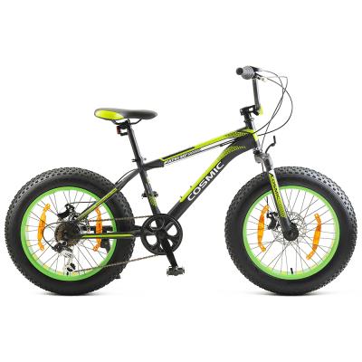 China Hot Selling 20 Inch 7 Speed ​​Steel Kids Fat Tire Bike for sale