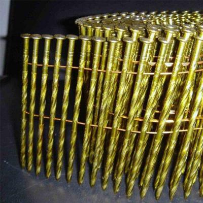 China Hot Sales Promotion Products Cost Effective Construction Stainless Steel Flat Coil Head Special Anticorrosion Round Nails for sale