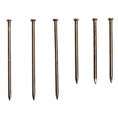 China Supplier direct sale high quality flat stainless steel coil nail wire nails for sale