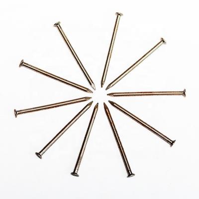 China Factory direct sales low cost electro flat stainless galvanized roof coil nails for sale