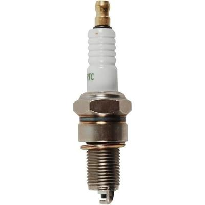 China Silver 100w Iridium Spark Plug Suitable for Diesel Oil Engines at Genuine for sale