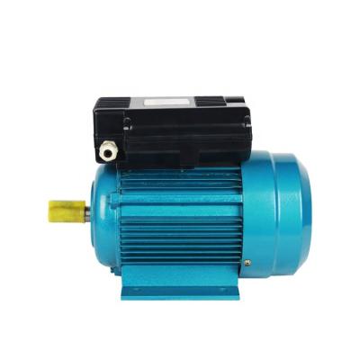 China 2800Rpm KW Single Phase Totally Enclosed 1/4 1/2 Single Phase 120V 220V 500 Watt1.1Kw 2.2Kw 3Kw 1.5 1 1.5 2 Hp 1.5Hp 2Hp 3Hp AC Electric Motor for sale