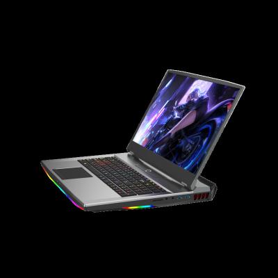 China Fingerprint Recognition Core i9 10885H Gaming Laptop 17.3 Inch IPS Screen 1920*1080 I9 Laptop With Keyboard Backlit Computer For Game for sale