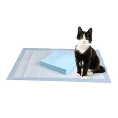 China Super Absorbent Dog Trainning Puppy Training Pad Absorbs Pet Urine Pad In One Go for sale