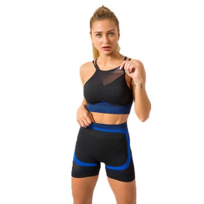 China Wholesale Price High Waist Seamless Seamless Nylon Spandex Women's Yoga Workout Clothes Bicycle Shorts Set for sale