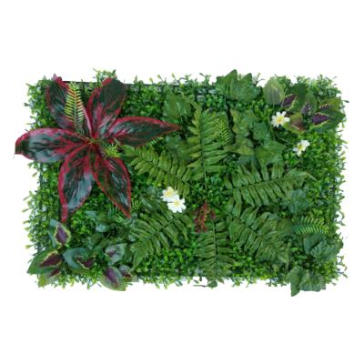 China Minimalist Artificial Grass Wall Hanging Faux Boxwood Living Room Decoration Wall for sale