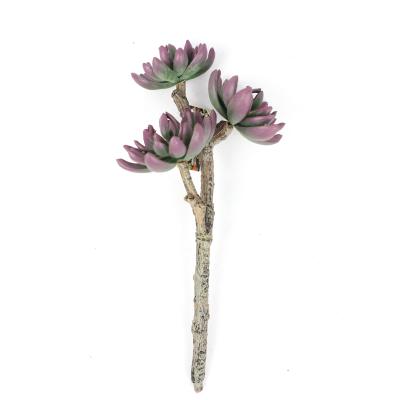 China Wholesale Artificial Succulent Plants Eco - Friendly And Waterproof For Home Decor for sale