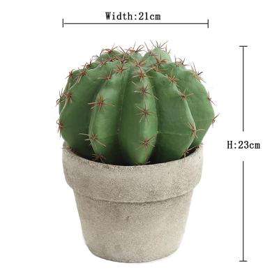 China Minimalist Rare Export Euphorbia Macetas Para Large Size Artificial Silk Cactus Pot for sale