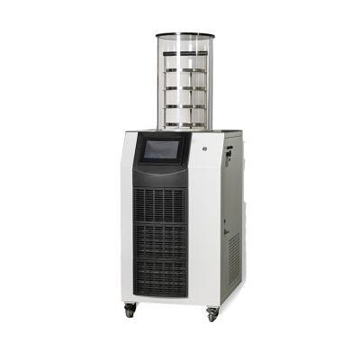 China Medicine Curing Coffee Vacuum Freeze Machine Drier FD-1A-80 Vacuum for sale