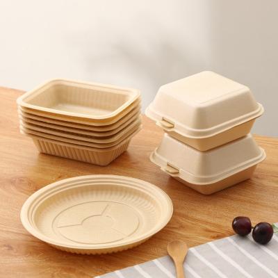 China Freshness Preservation Container Single Compartment Biodegradable Clamshell Rectangular Hinged Takeout Box for sale