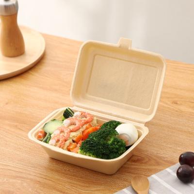 China Eco - Friendly Hotel Home Restaurant Clamshell Biodegradable Food Containers Foam Flat Lunch Box PLA for sale