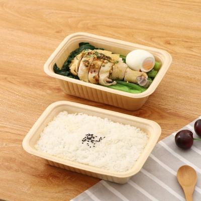 China Home Hotel Restaurant 100% Biodegradable Food Grade Take Out Food Containers Food Boxes PLA Dish for sale