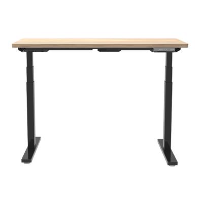 China Modern Design Ergonomic Height Adjustable Sit Stand Desk (Waist) Adjustable Desk for sale