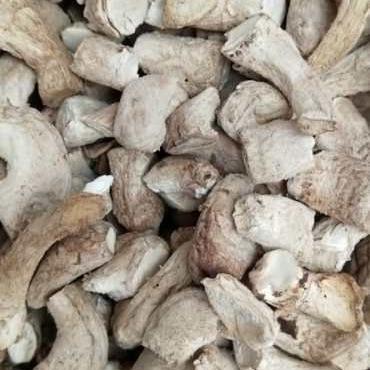 China The dry sale whole shiitake mushrooms dry mushroom legs loe price porcelain mushroom for sale