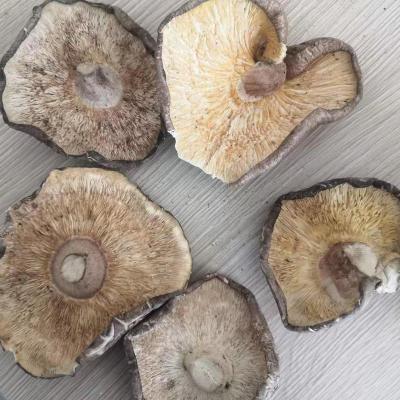 China Cheapest Selling Dried Shiitake Mushrooms Whole Dried Mushroom Least Expensive for sale