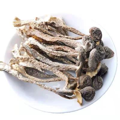 China Antler Dry Velvet Mushroom for sale