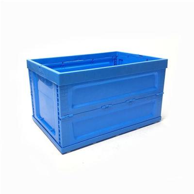 China FOLDING PLASTIC BASKET FOR APPLE for sale