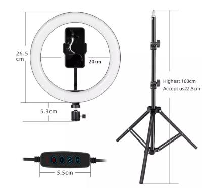 China Inch 26cm Studio Fill Light Custom Photographic Live Makeup LED Selfie Color Adjustable Tempurate 10 12V Ring Light With Tripod Holder For Mobile Phone for sale