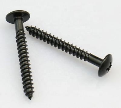 China Pan Cross Phillips Pan Head Wood Covering Tornillo Waterproof Screws For Wood for sale