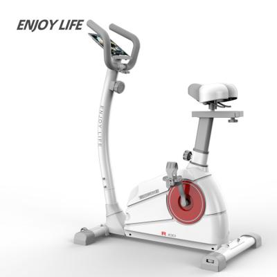 China Home Use Body Fit Promotional Good Quality Training Exercise Cardio Bike Indoor Fitness for sale