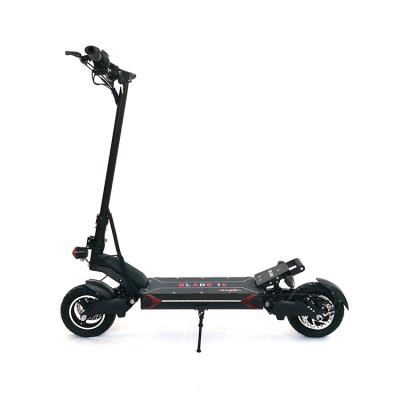 China 2020 new double blade 10Inch 2 wheel motor 1000W/2000w electric kick scooter unisex citycoco for sale