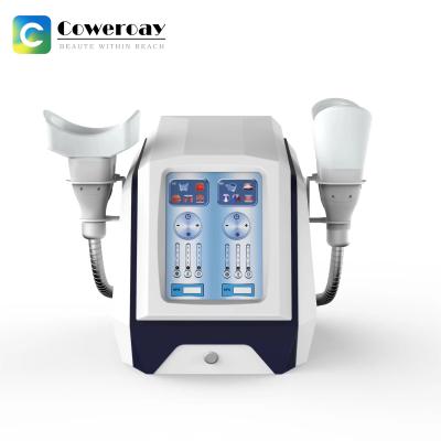 China 1000W Painless Cryolipolysis Fat Freezing Machine for Double Chin and Cellulite Removal for sale