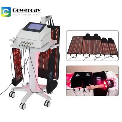 China 5d Maxlipo 650nm 940nm Laser Slimming Machine For Pain Therapy And Weight Loss for sale