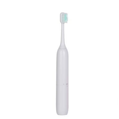 China Plastic Waterproof Portable Deep Rotary Switch Adult Replaceable Battery CleaningTeeth Electric Toothbrush for sale