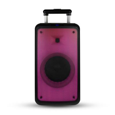 China Hot Selling Wireless Portable Trolley Subwoofer USB BT FM Radio Speaker TWS Party Karaoke Dance Indoor Speaker for sale