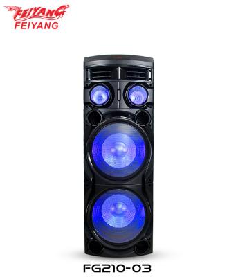 China EZCast Dual 12 Inch Portable DJ Sound Equipment Case Karaoke Wooden Stereo Large Audio Player Large BT Speakers With Lights for sale