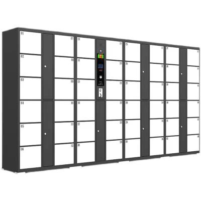 China 2022 New Design Automated Lockers For Schooling With Electronic Storage Locker Or Steel Storage Locker H850*W350*D450MM for sale