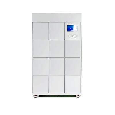 China Hot Delivery 2022 Self Storage Electronic Order Pickup Smart Restaurant Locker for sale