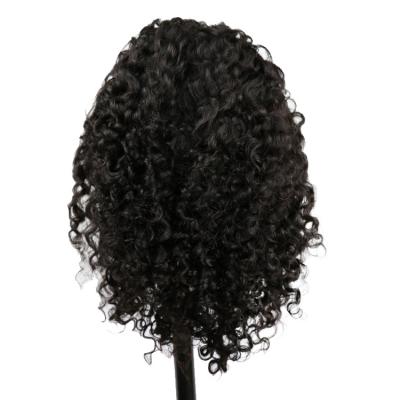 China 100% Human Hair Wigs 100g Curly Afro Remy Hair Full Lace Wigs 100% Human Hair Wigs For Black for sale